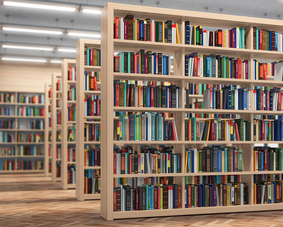 La imagen muestra diversas estanterías repletas de libros