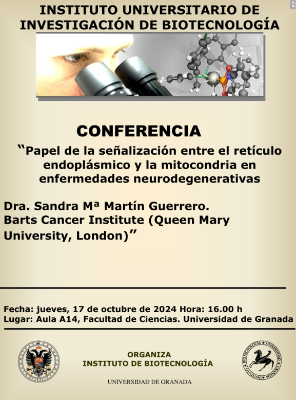 Conferencia
