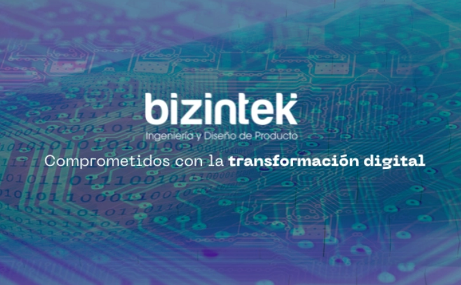 bizintek