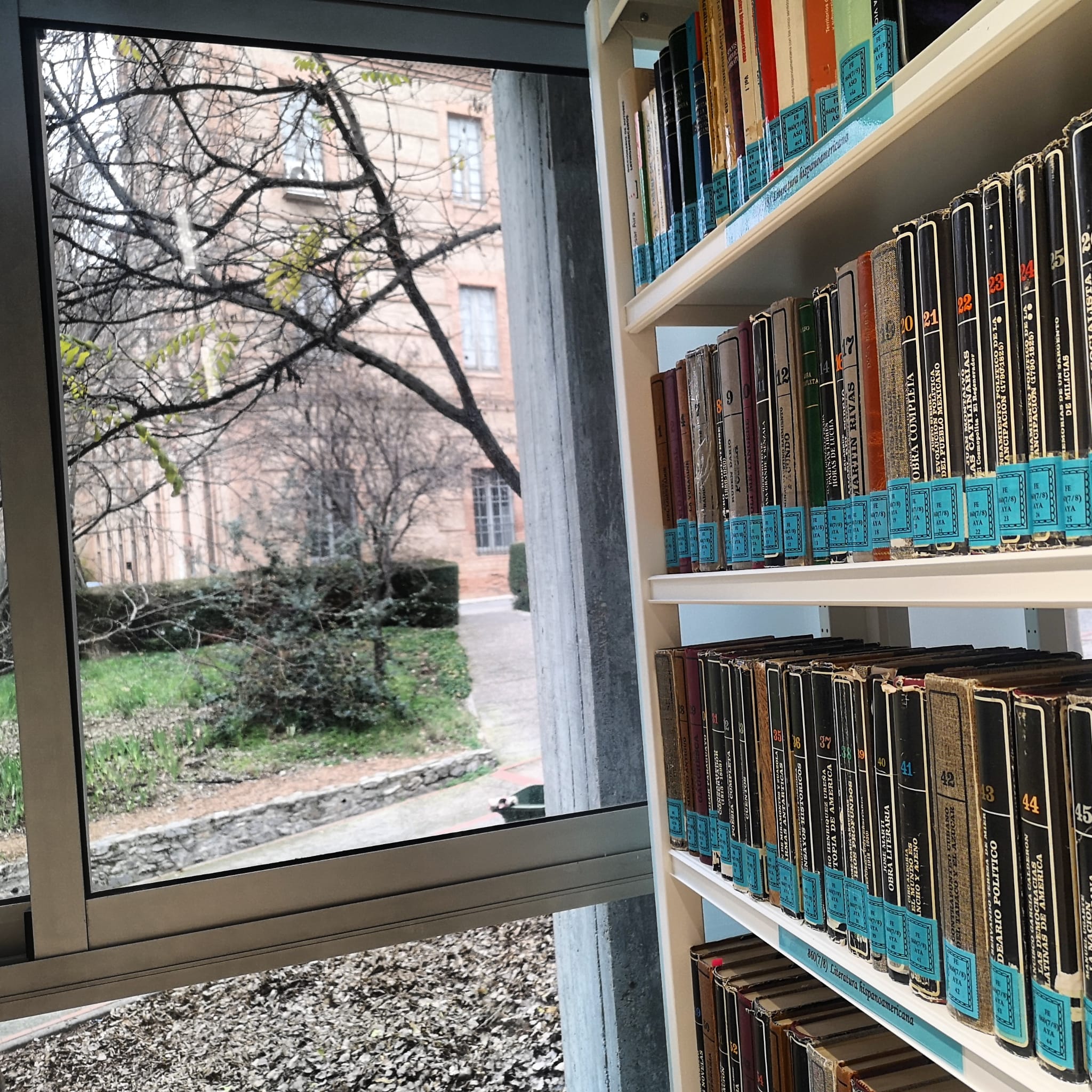 Sección de español en la biblioteca Ana Pardo