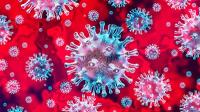 coronavirus-red (1)